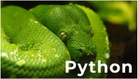 python