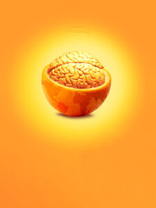 World Philosophy Day 2022