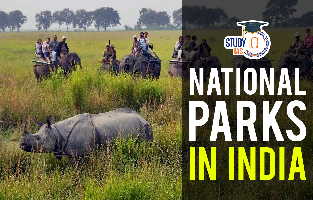 List of National Parks in India 2025, Check Statewise List
