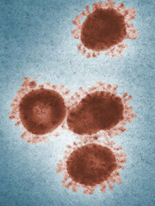 Zombie virus