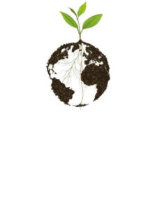 world soil day
