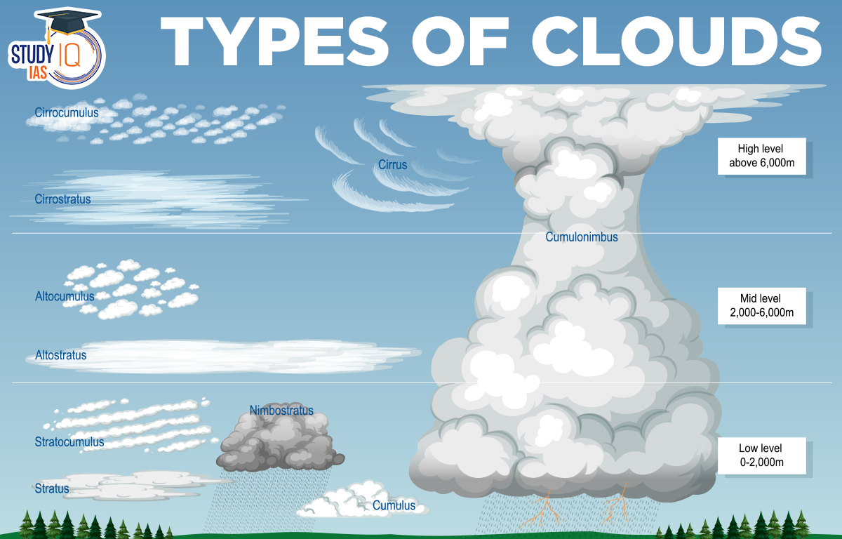 Types Of Clouds Importance Classifications Diagram