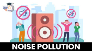 Noise Pollution