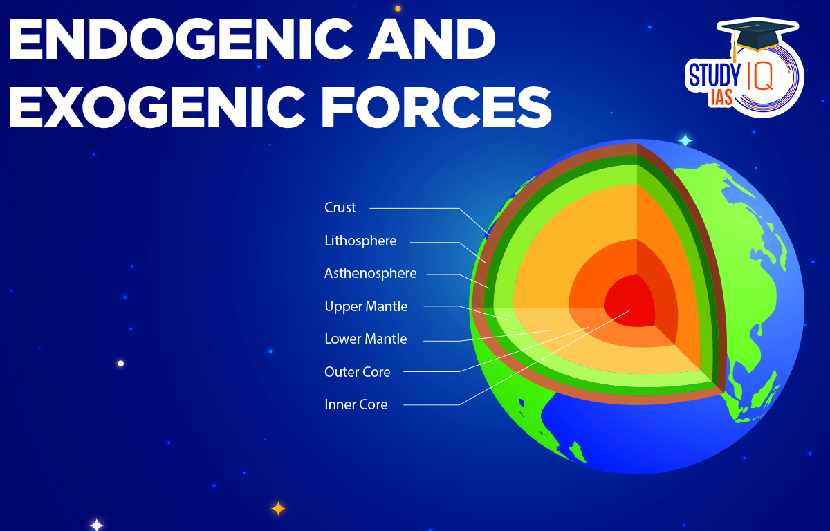 Endogenic and Exogenic Forces
