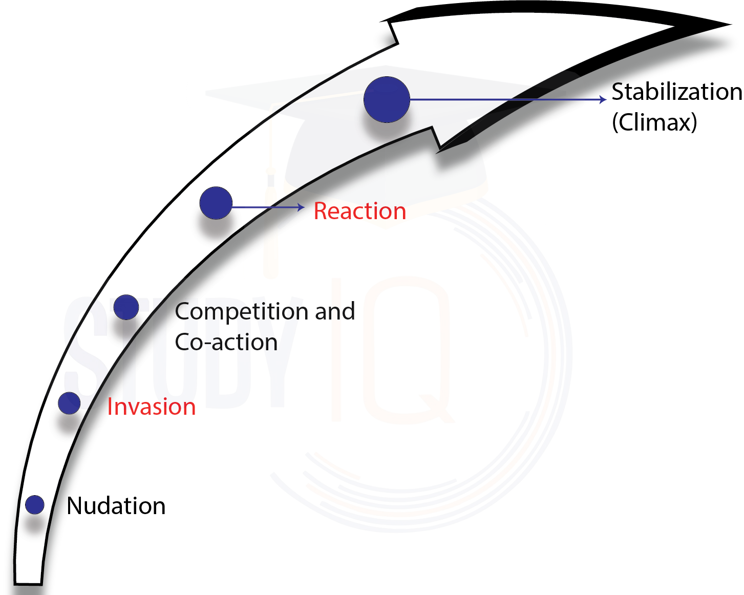 Stages of Ecological Succession