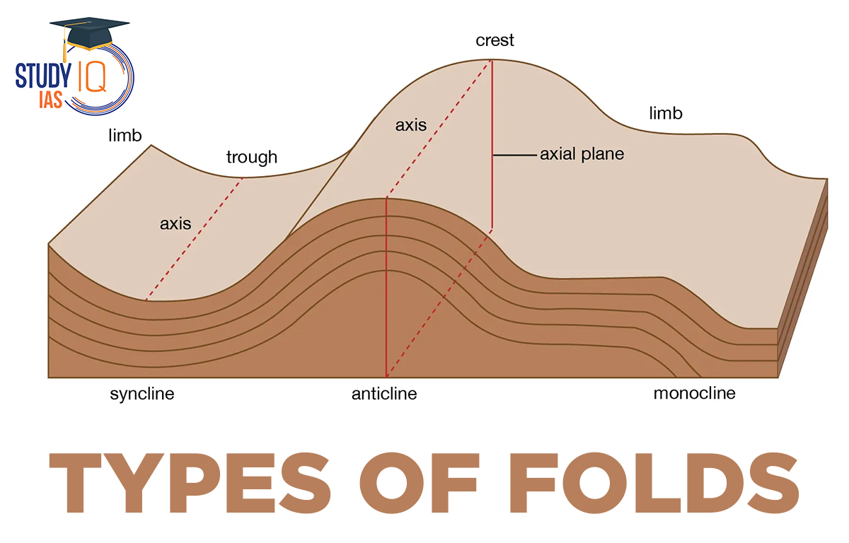 Types of folds