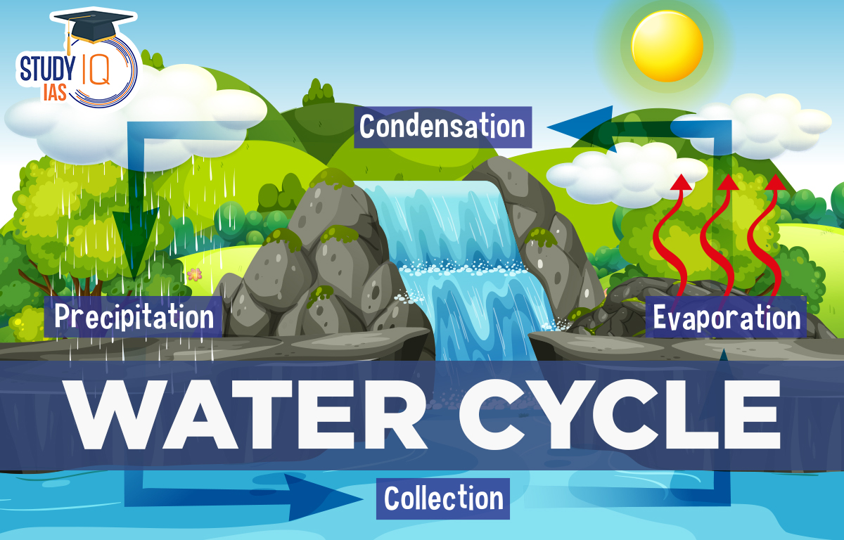 Water Cycle