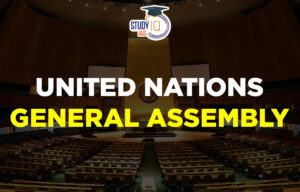 United Nations General Assembly
