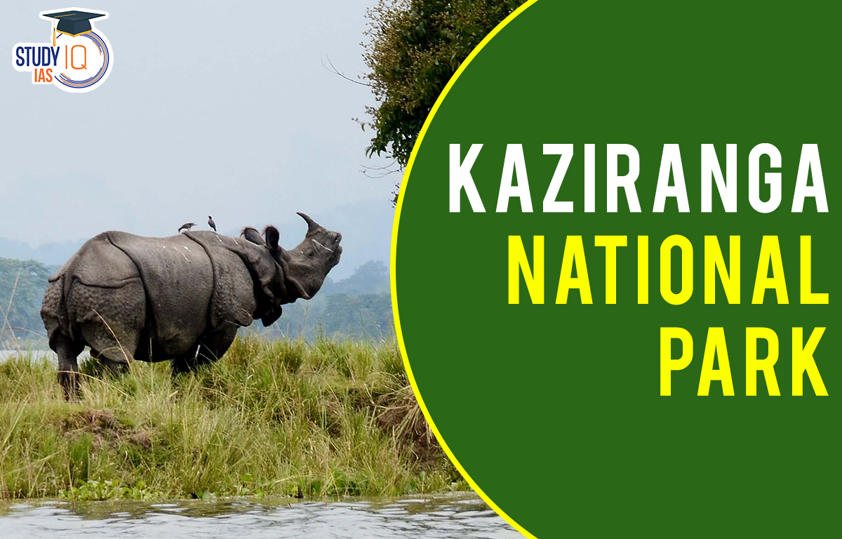 Kaziranga National Park