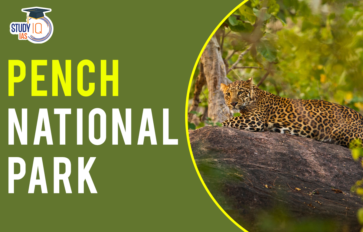 Pench National Park History Vegetation Wildlife Flora And Fauna
