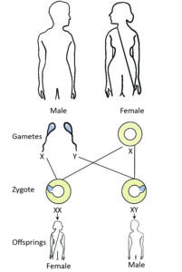 Biology - Extra Study Material_4.1