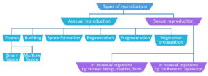 Biology - Extra Study Material_10.1
