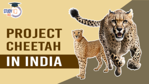 Project Cheetah in India