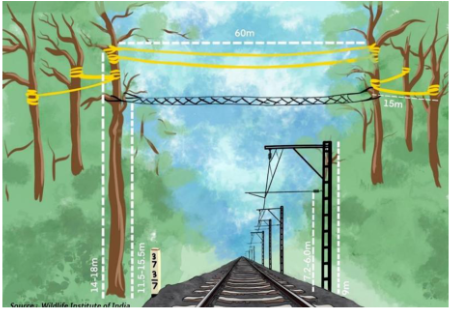 Canopy Bridges for Gibbons and Hoollongapar Gibbon Wildlife Sanctuary_4.1
