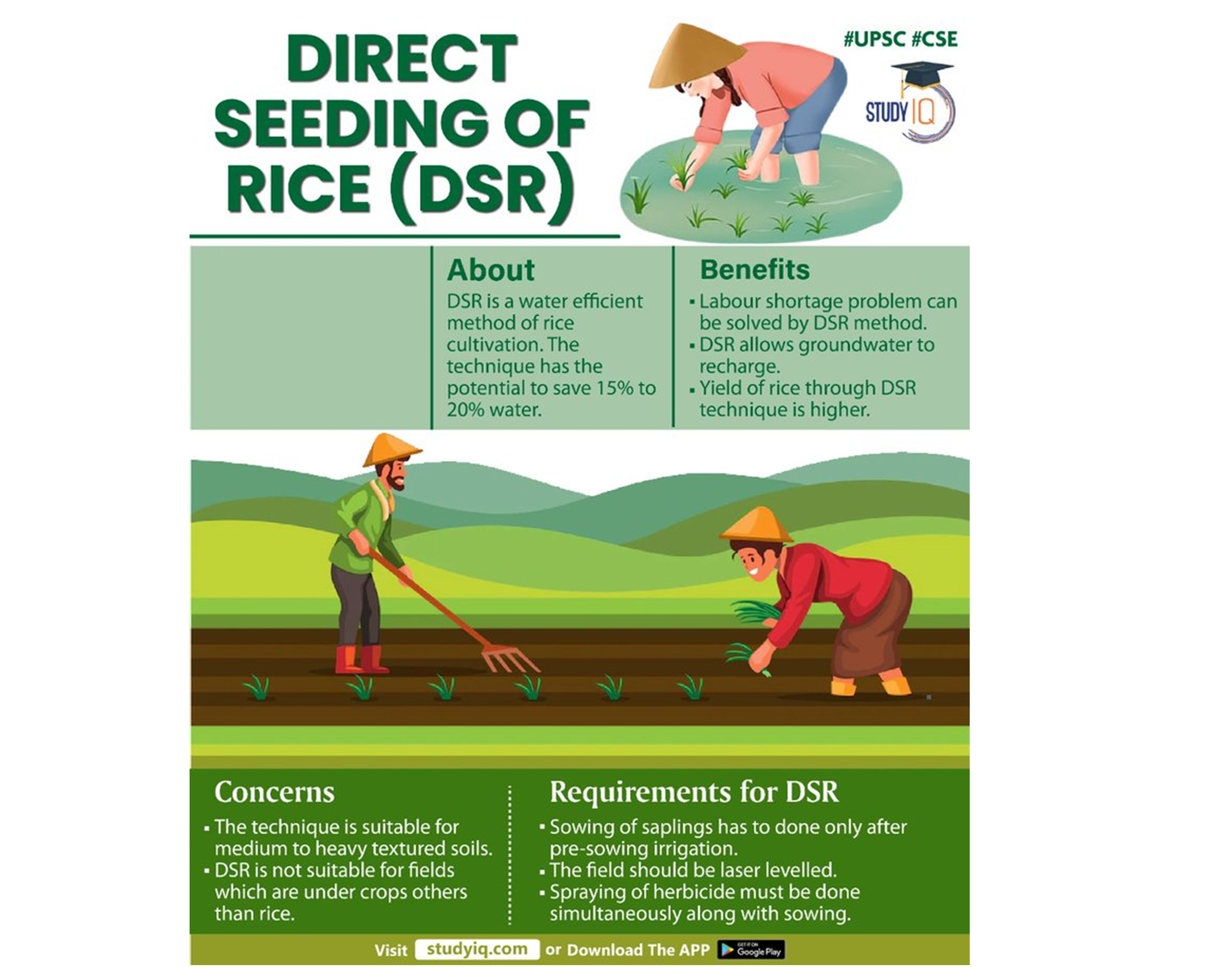 Direct Seeding of Rice (DSR) Technique, Concerns and Requirements_4.1