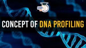 Concept of DNA Profiling