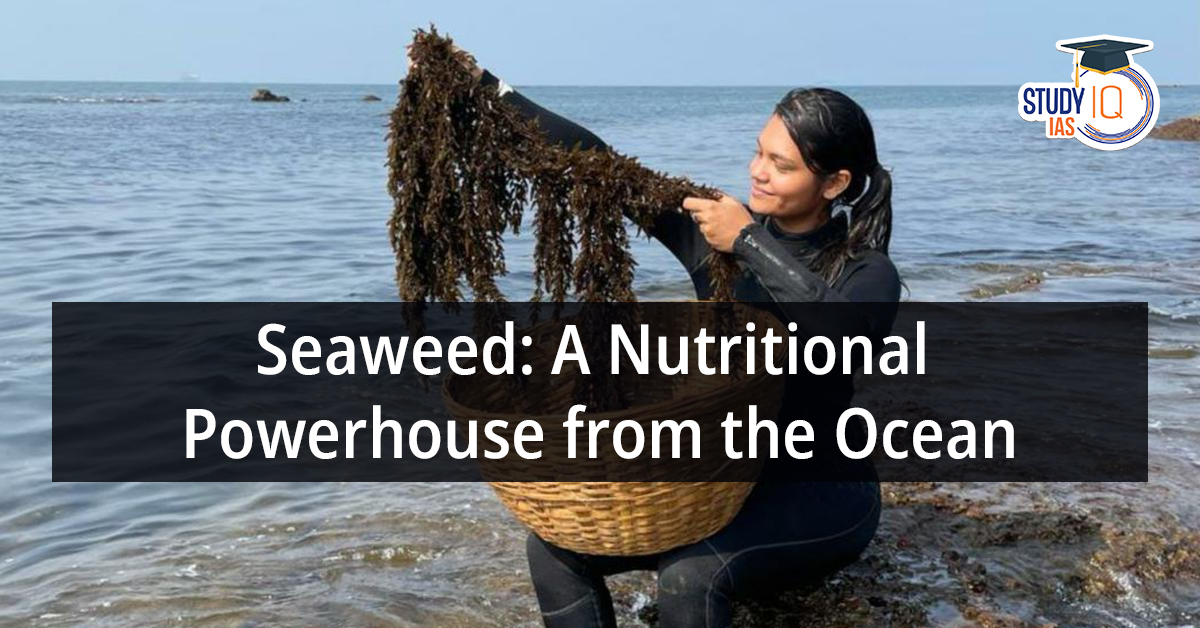 Sea Weeds