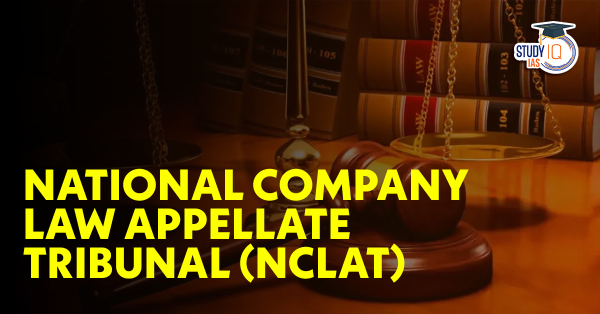 National Company Law Appellate Tribunal (NCLAT)