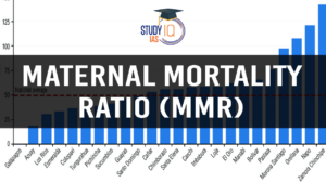 Maternal Mortality Ratio (MMR)