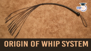 Whip system in India