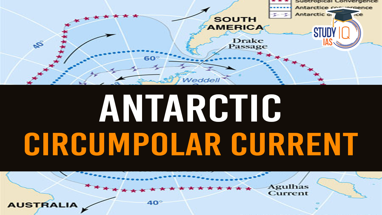 Antarctic Circumpolar Current (blog)