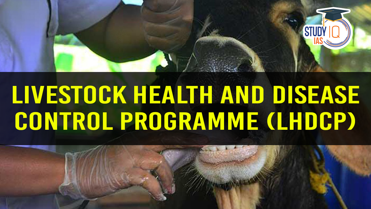Livestock Health and Disease Control Programme (LHDCP) (blog) (1)