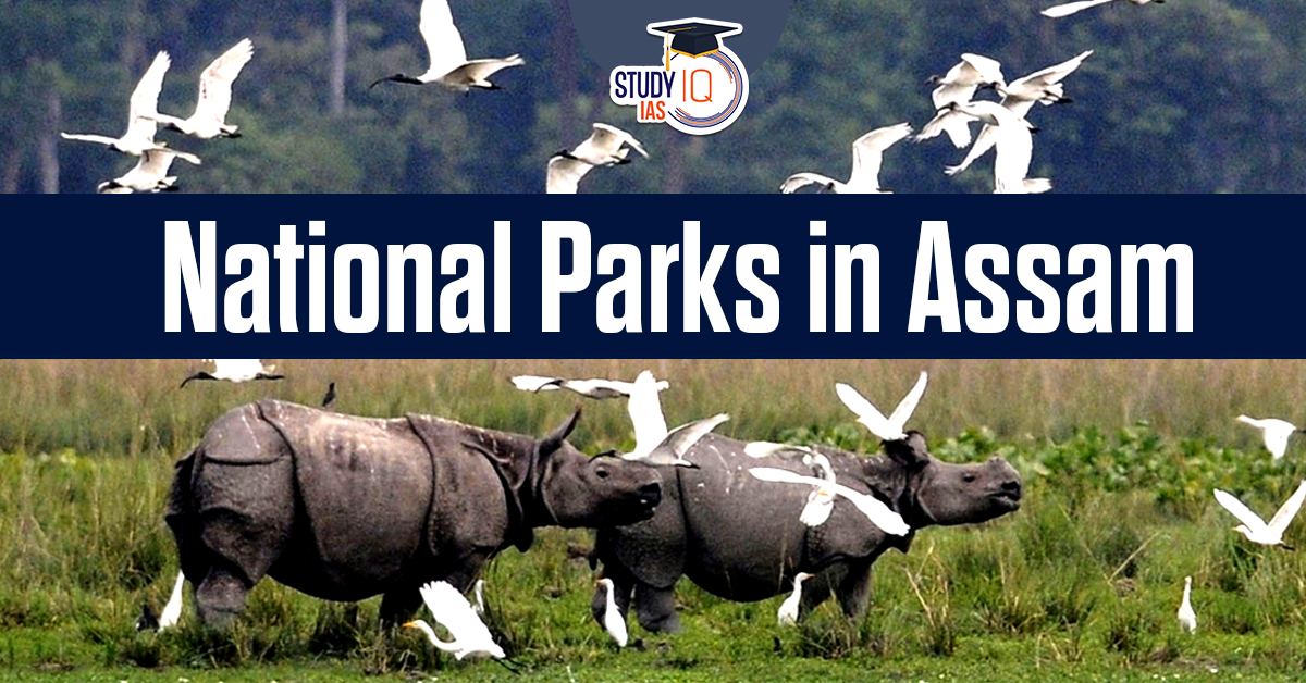 National Parks in Assam