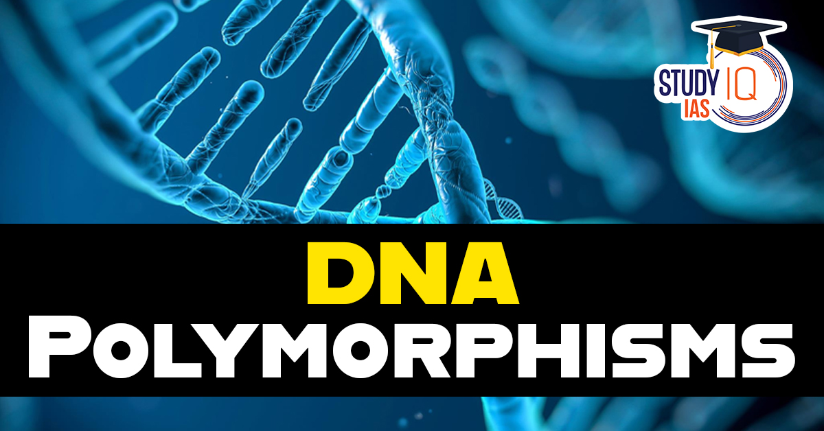 DNA Polymorphisms