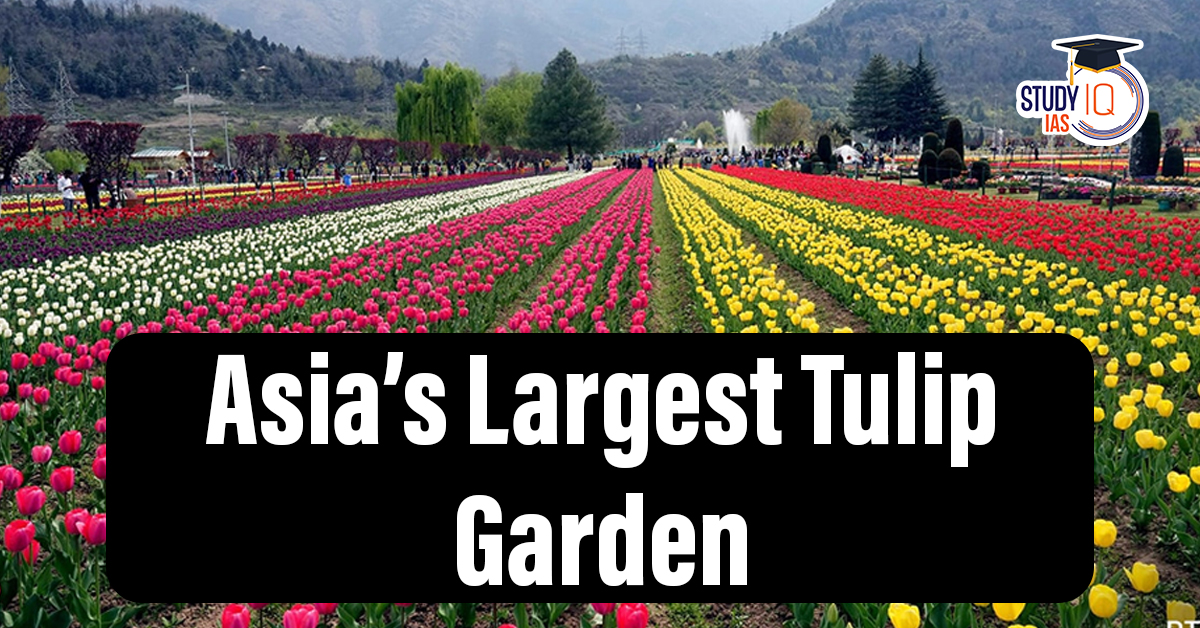 Asia’s Largest Tulip Garden