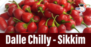India Exports GI-Tagged Dalle Chilly from Sikkim to Solomon Islands