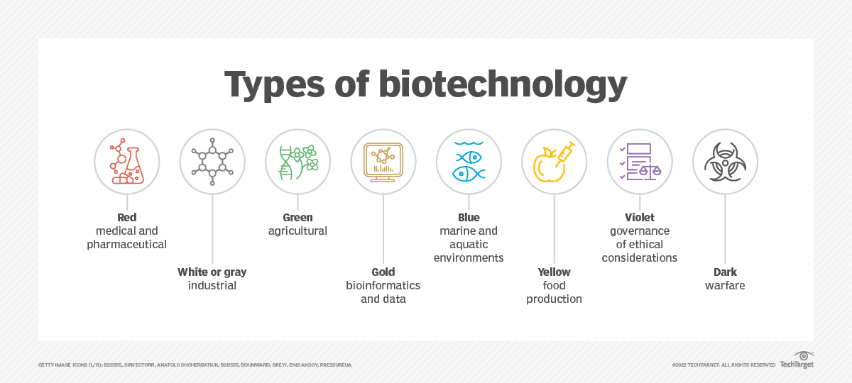 types of Bioeconomy