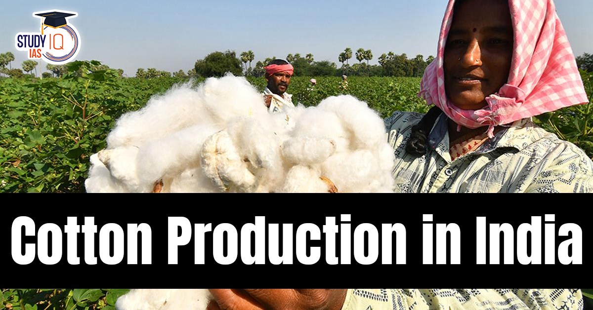 Cotton Production in India