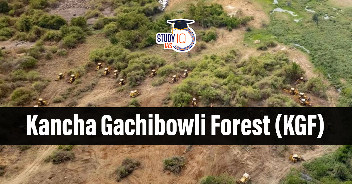Kancha Gachibowli Forest (KGF)