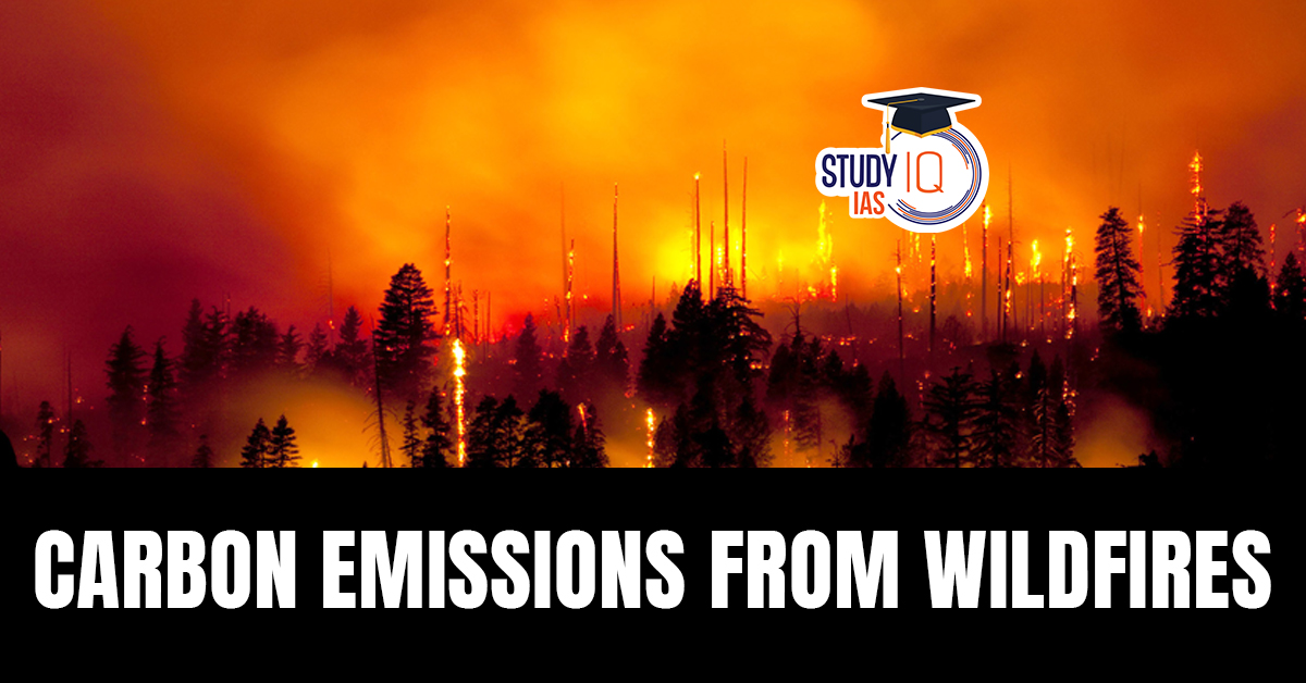Carbon Emissions from Wildfires