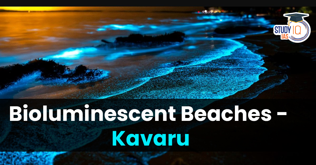 Bioluminescent Beaches