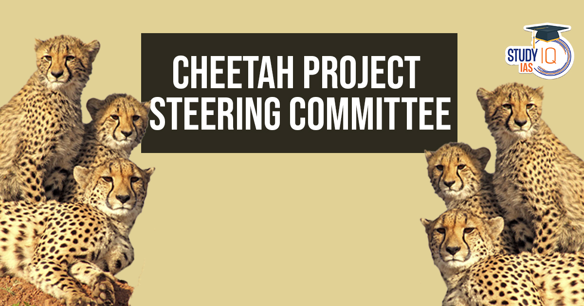 Cheetah Project Steering Committee
