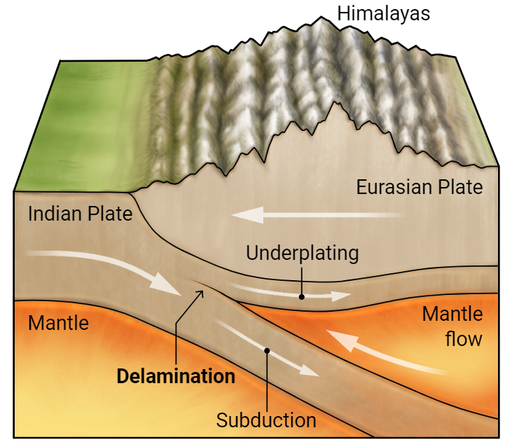 Indian Continental Plate