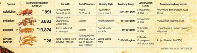 big cats species