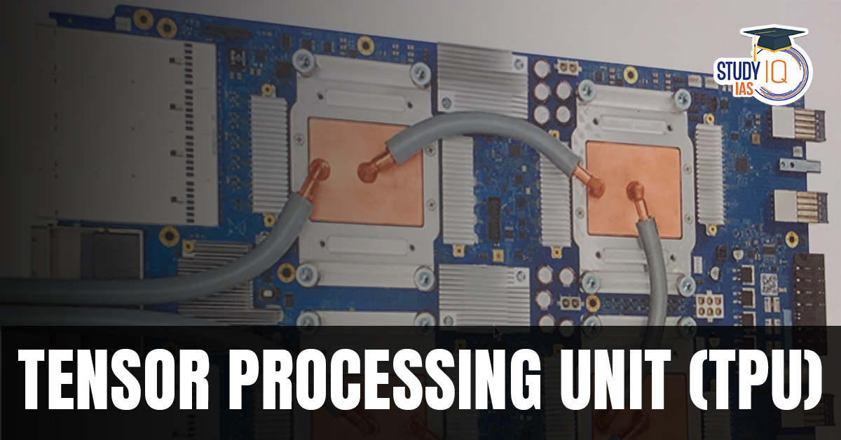 Tensor Processing Unit (TPU)