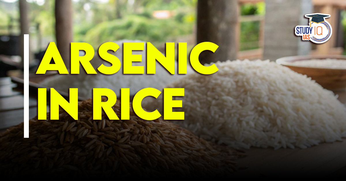 Arsenic Levels in Rice