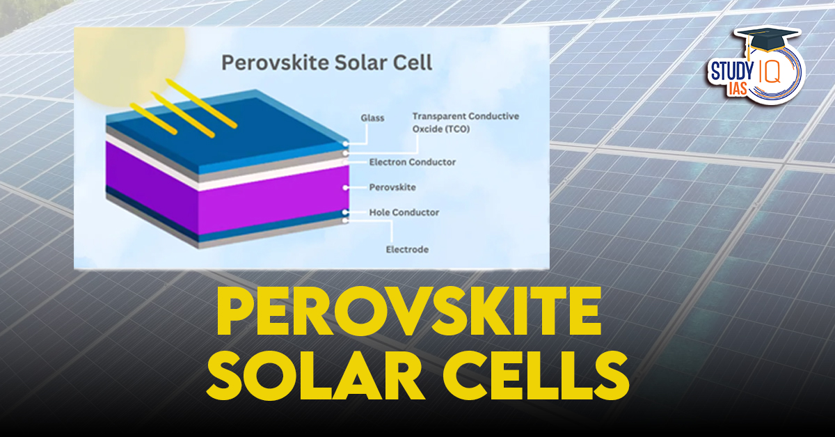 Perovskite solar cells (PSCs)