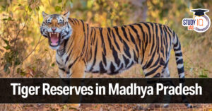 Tiger Reserves in Madhya Pradesh