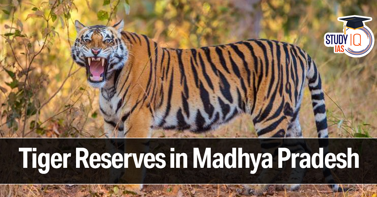 Tiger Reserves in Madhya Pradesh