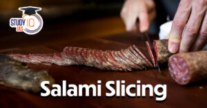 Salami Slicing