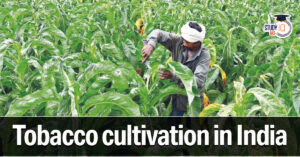 Tobacco Cultivation in India