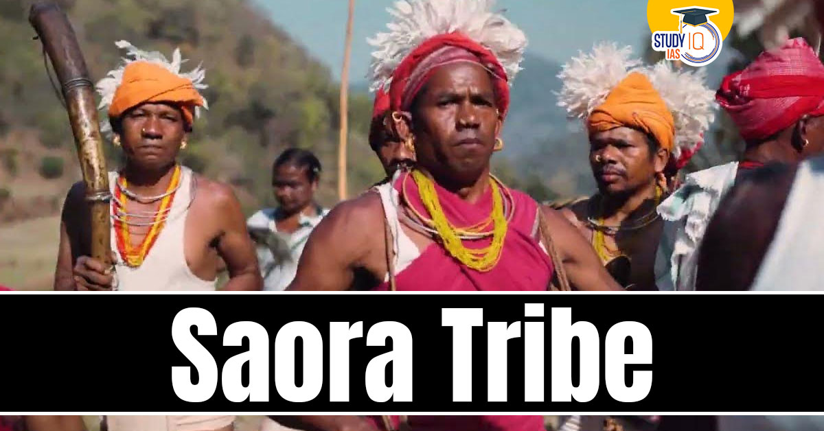 Saora Tribe