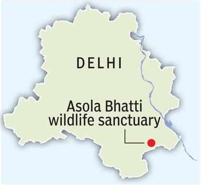 location of Asola Bhati Wildlife Santuary