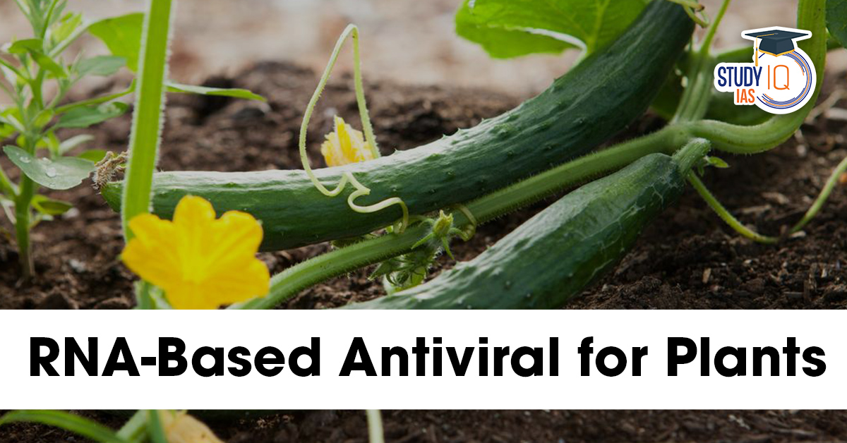 RNA-Based Antiviral for