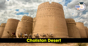 Cholistan Desert