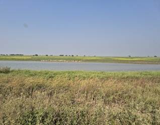 Nathmalpur Bhagad Wetland
